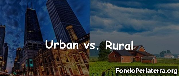 Kaupunki vs. maaseutu