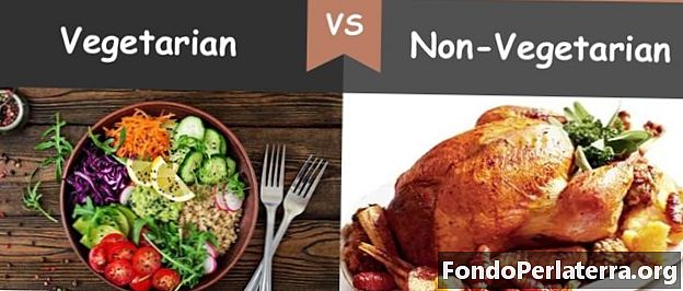 Vegetariano vs. Non vegetariano