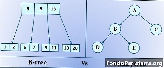 ความแตกต่างระหว่าง B-tree และ Binary tree
