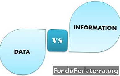 Sự khác biệt giữa dữ liệu và thông tin