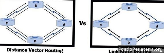 Differenza tra routing vettoriale a distanza e routing stato collegamento