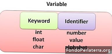 Skirtumas tarp raktinio žodžio ir identifikatoriaus