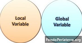 Rozdiel medzi miestnou a globálnou premennou