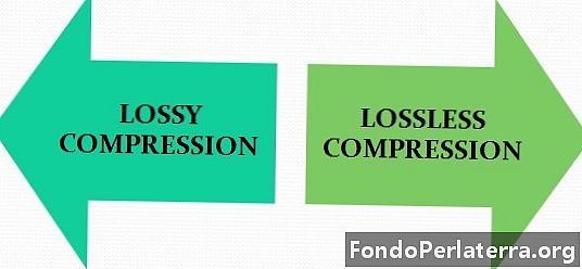 Différence entre compression avec perte et compression sans perte