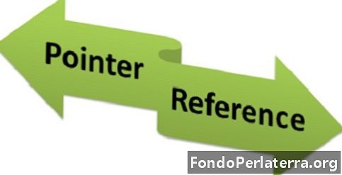 Diferència entre el punter i la referència