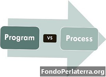 Diferencia entre programa y proceso