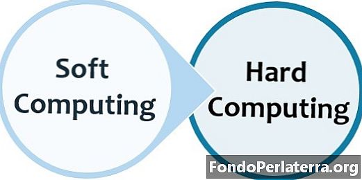 Differenza tra soft computing e hard computing