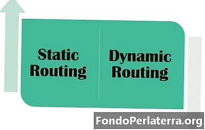 Diferența dintre rutarea statică și cea dinamică