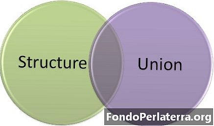 Atšķirība starp struktūru un savienību