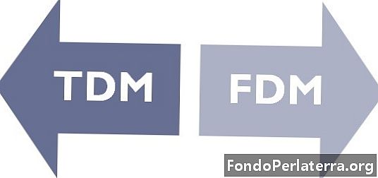 Diferència entre TDM i FDM