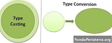 Rozdiel medzi obsadením typu a konverziou typu