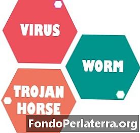 वायरस, कृमि और ट्रोजन हॉर्स के बीच अंतर
