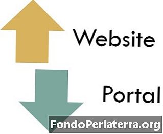 Forskjellen mellom nettsted og portal
