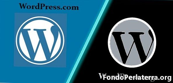 WordPress.com اور WordPress.org کے درمیان فرق