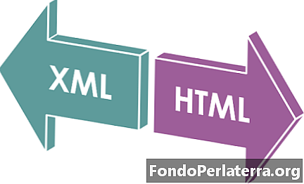 الفرق بين XML و HTML