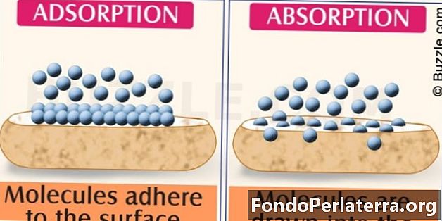 Absorption vs. adsorption