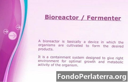 Bioreaktor vs Fermentor