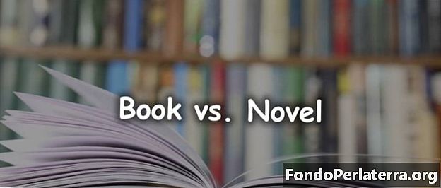 Kniha vs. román