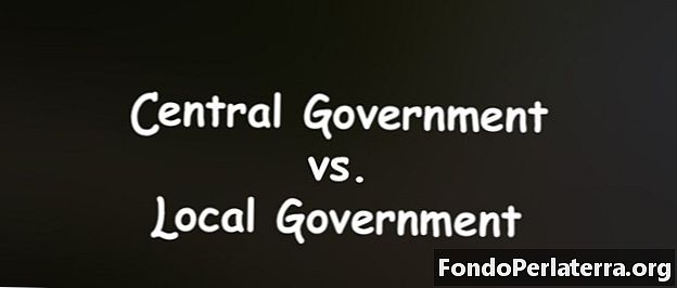 Centralna vlada v primerjavi z lokalno upravo