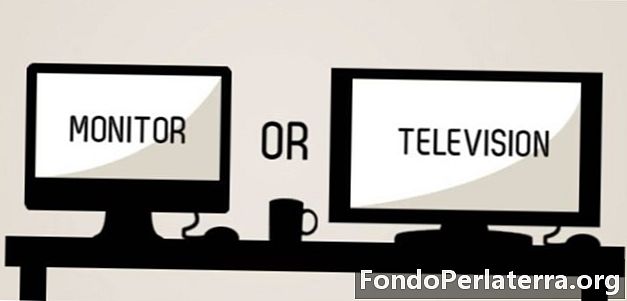 Computer Monitor vs. TV