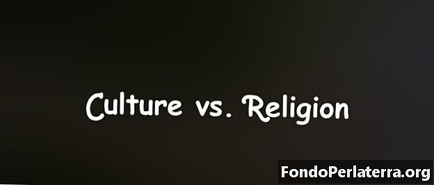 Kultura vs. náboženství