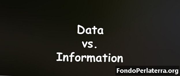 Data vs. information
