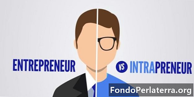 Przedsiębiorca vs. Intrapreneur