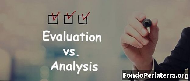 Valutazione vs. analisi