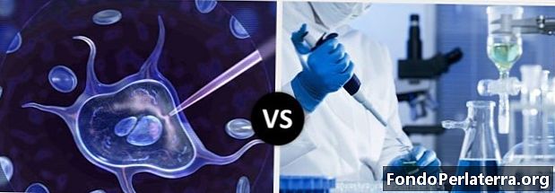 الهندسة الوراثية مقابل التكنولوجيا الحيوية