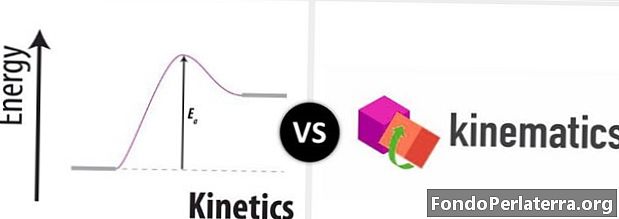 Kinetika vs. kinetika