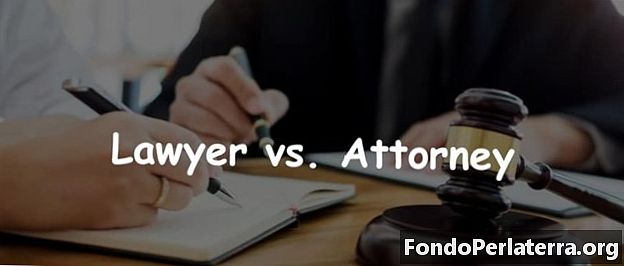 Advokát vs. právnik