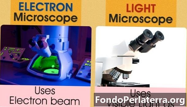 Gaismas mikroskops pret elektronu mikroskopu