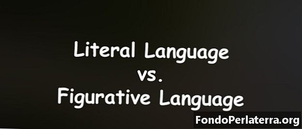 שפה מילולית לעומת שפה פיגורטיבית