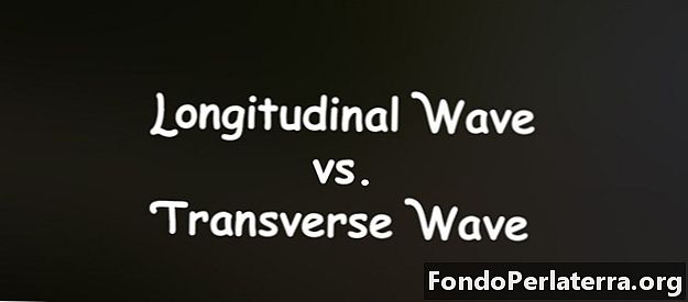 Longitudinal Wave vs. Transverse Wave