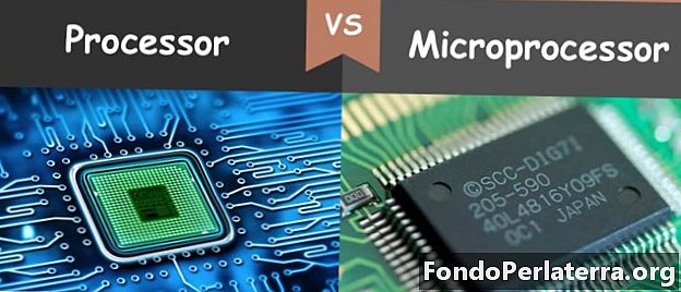 Processor vs. mikroprocessor