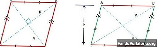 Rhombus versus parallellogram