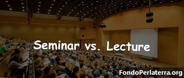 Seminarium vs. föreläsning