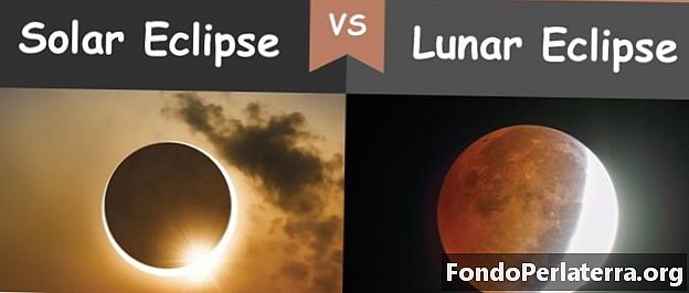 Solar Eclipse vs. Lunar Eclipse
