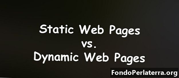 Statické webové stránky vs. dynamické webové stránky