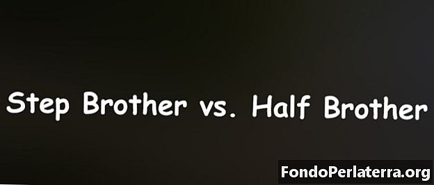 Step Brother vs. Half Brother