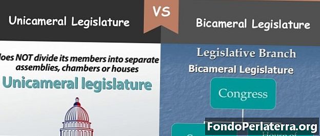 Unicameral Legislature kumpara sa Lehislatura ng Bicameral